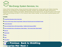 Tablet Screenshot of bioenergy-services.com